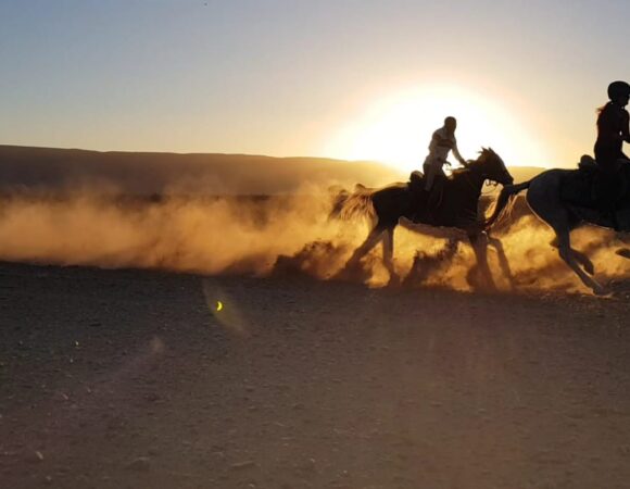 Sundown Horse rides