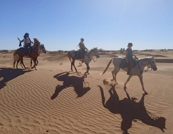 Horseback rides