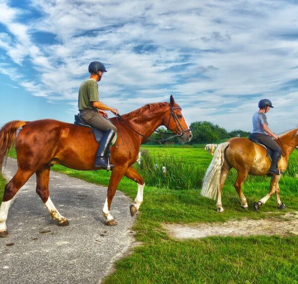 RIDERS OF L’ANTI ATLAS 8/6 DAYS on Horseback