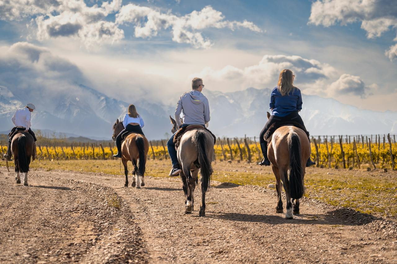 Horseback rides