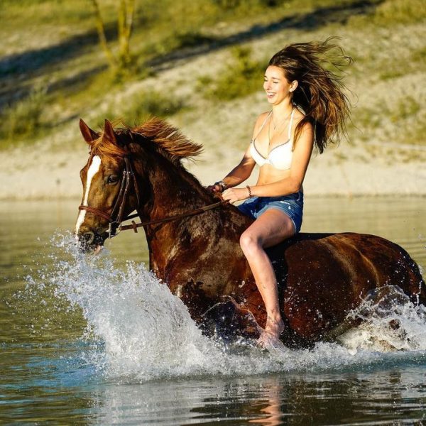 HORSE RIDE EXPERIENCE ( 1H/2H)